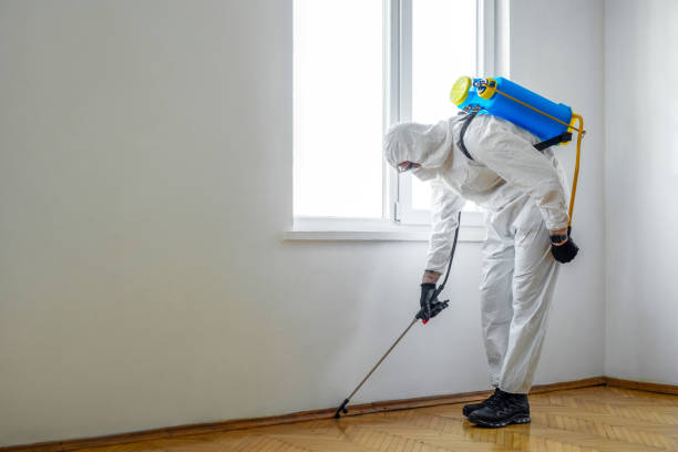 Pest Prevention Services in Wrightsville Beach, NC